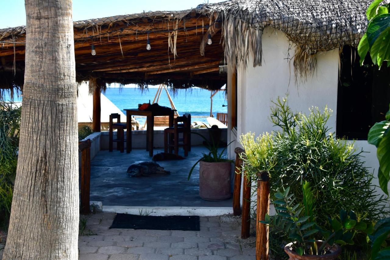 San José del Cabo Rustico Lounge - Property In Front Of The Beach מראה חיצוני תמונה
