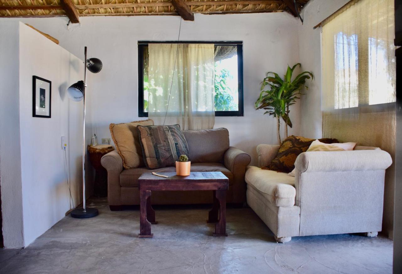 San José del Cabo Rustico Lounge - Property In Front Of The Beach מראה חיצוני תמונה